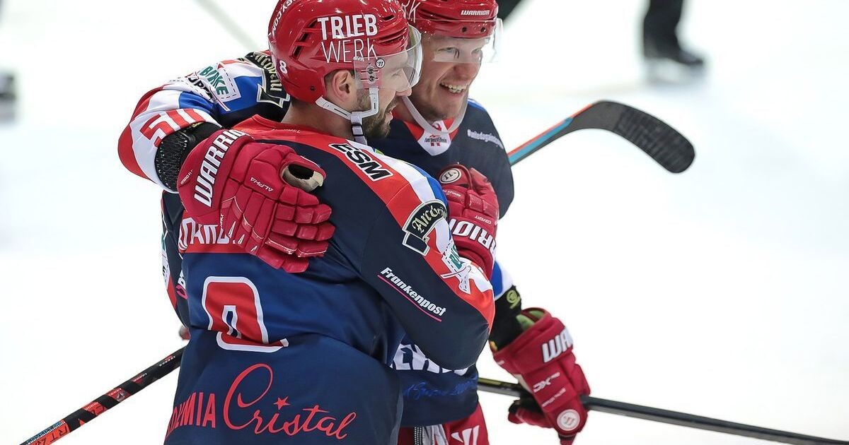 Eishockey: Wir suchen den Wölfe-Playoff-Song 2021 | Radio ...